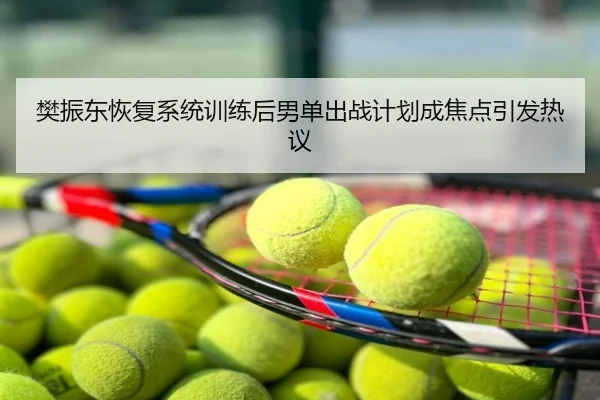樊振东恢复系统训练后男单出战计划成焦点引发热议